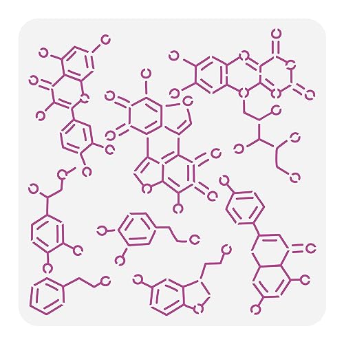 FINGERINSPIRE Chemische Struktur Schablone Zum Malen 30x30 cm Wiederverwendbare Organische Chemie Schablone Große Wissenschaftliche Elemente Zeichenvorlage Tägliche Themenschablone Für Holzleinwand