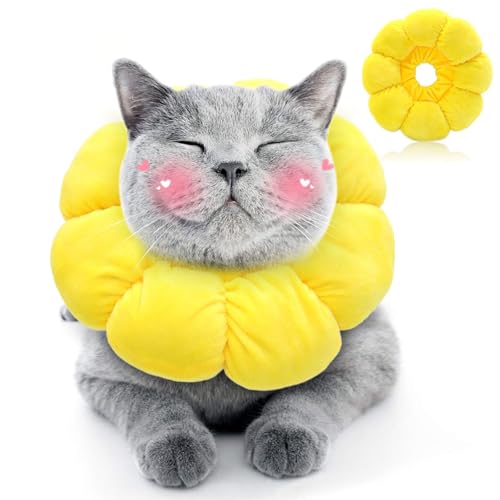 Halskrause Katze, Einstellbarer Halskrause Katze Halsband für Katzen Kleiner Hunde Nach Operation, Weich Sonnenblume Katze Wiederherstellung Halsband Kragen Cone, M