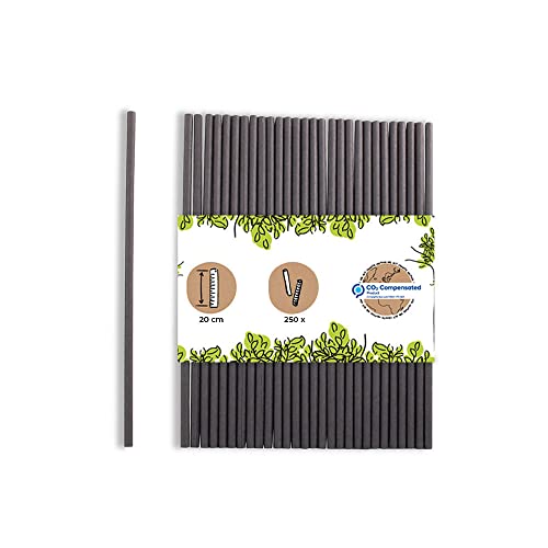 GREENBOX Papier Trinkhalme 20 cm Strohhalm 5 mm Ø I Trinkhalm biologisch abbaubar I schwarze Strohhalme vertikal gerollt I Party Trinkhalme für Cocktails I Papierstrohhalme 250 Stück