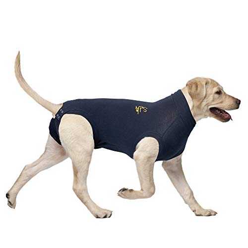 MPS Medical Pet Shirt, Blau, für mittelgroße Hunde, M