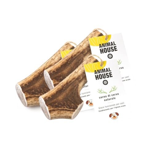 Animal House 3 Stück ganze Hirschgeweihe für Hunde, 100% natürliches Kauspielzeug, stärkt die Mundhygiene, widerstandsfähig und langlebig, in Allen Größen erhältlich (3, L)