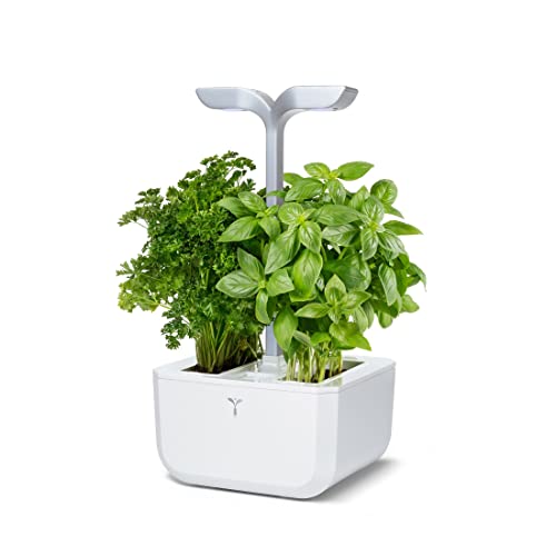Véritable Indoor-Garten Exky® SMART (Arctic White) Kompakter und autonomer intelligenter Garten mit Adapt-Light-Technologie - Mit 2 Lingots®