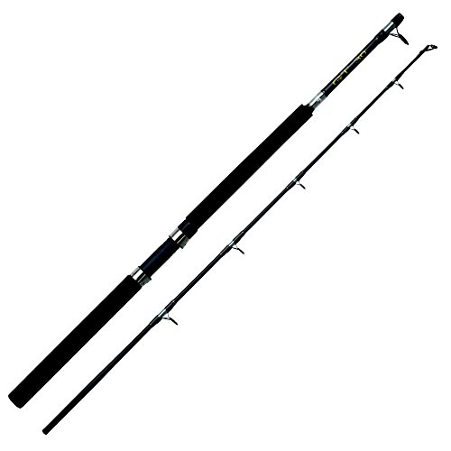 Abu Garcia GT Boat Baitcastruten
