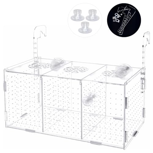 Fischzucht Kasten mit Saugnäpfen, Isolationsbox Aquarium, Acryl Aquarium Isolationsbox, Aquarienfisch-Zuchtbox Transparente Fische Sämlinge Inkubator Brutkasten, Aufzuchtbecken Aquarium für Babyfische