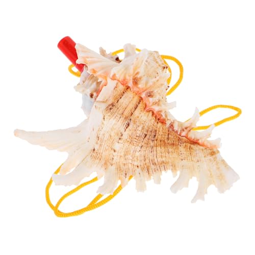 VICASKY Muschelpfeife,Party-Krachmacher,Hand-Strandmuschelhorn Kinderspielzeug,große Muscheldekoration,lautes Pfeifen für draußen, lauteste Pfeife