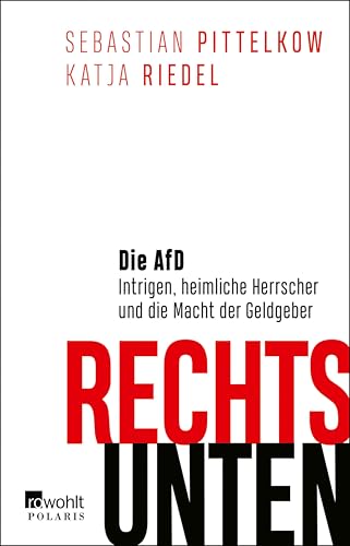 Rechts unten: Die AfD: Intrigen, heimliche Herrscher und die Macht der Geldgeber