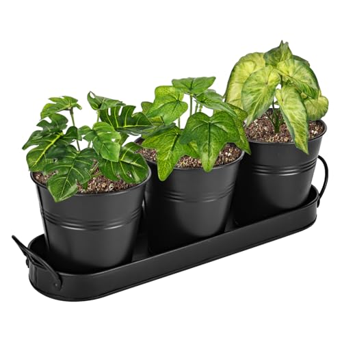 Kräutertöpfe für Drinnen Und Draussen， 3er Set Kräutertopf Küche Mit Tablett， Kräutergarten Küche Küchenkräuter Topf Kräutertopf Balkon Pflanzenanzuchttöpfe für Pflanzen, Blumen, Sukkulententöpfe