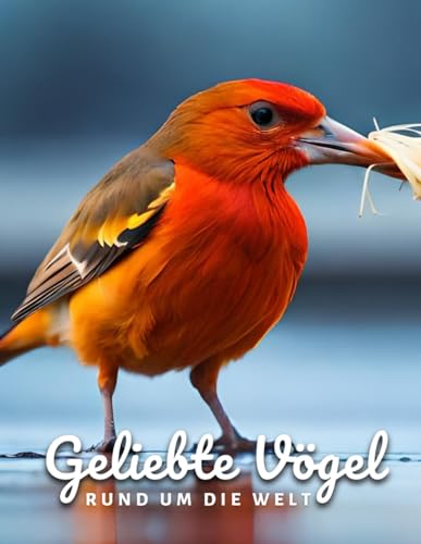 Geliebte Vögel Rund Um Die Welt: Wunderschöne Vogelfotos für Senioren, Demenzkranke und Vogelliebhaber.