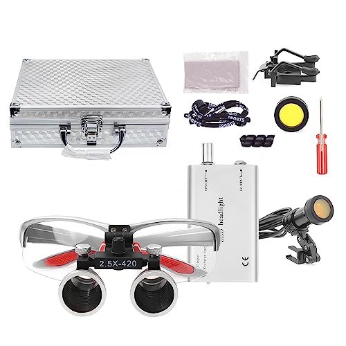 NSKI Tragbarer 5-W-LED-Scheinwerfer mit 2,5 x 3,5-facher Lupe, Fernglaslupe, optisches Glas (Silber, 2,5-fach)