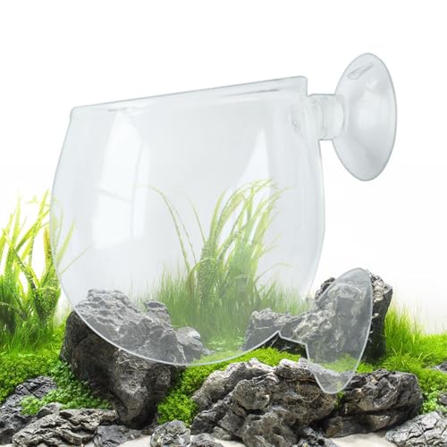Aquarium-Pflanzenhalter, Aquarium-Pflanzgefäß - Aquarium-Pflanzenhalter, Aquarium-Pflanzgefäß, Wasserpflanzenbecher,Glatter, klarer Blumentopf, roter Wurm-Futterspender mit Saugnapf für Aquarium, Süßw