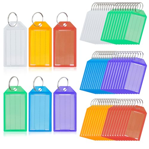 AiQInu Schlüsselanhänger Beschriftbar 60 Stück,mit beschreibbaren Etiketten,6 Farben Schlüssel Anhänger Schlüsselschilder mit Ring Schlüsselschilder zum Beschriften für Koffer Haustiere Gepäckstücke
