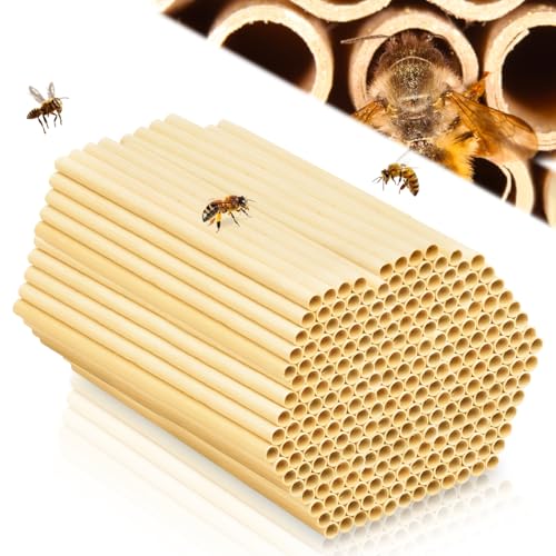 Insektenhotel Füllmaterial, 300 STK Niströhren für Wildbienen, 15cm Lang Nisthülsen für Insektenhotel, Wildbienenhotel Weizenhalme, Insektenhotel Bausatz für Bienenhotel Wildbienenhotel Bienenhaus
