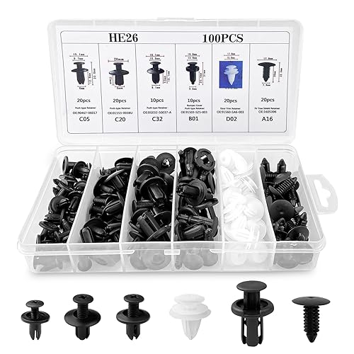 Fousenuk 100 Stück Befestigungsclips, Auto Befestigung Clips Universal, Kfz Clips 6 Arten Türverkleidung Clips Stoßstange Spreiznieten Karosserie Clips Kunststoffniete Befestigungssatz