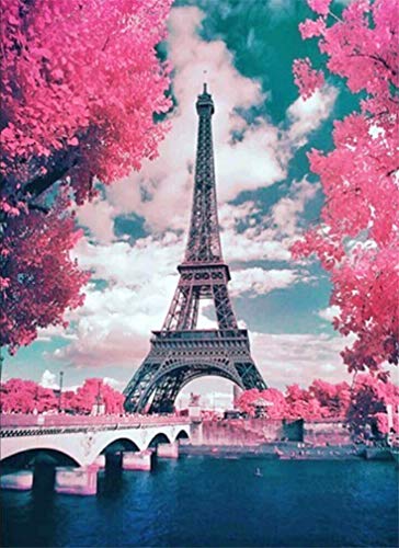 Abillyn Stickerei-Kreuzstich-Set, Motiv: Paris, Stadt, Landschaft, Eiffelturm, gestempelt mit gedrucktem Muster, Starter-Set (Eiffelturm)