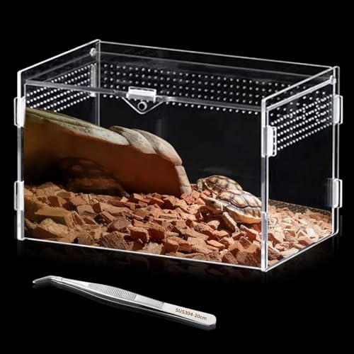 Acryl Terrarium Schnecken Terrarium: 20x12x12cm Mini Transparent Terrarium, Reptil Fütterungsbox, Insekten Terrarium, Terrarium-Behälter, Critter Box für gehörnte Frösche, Echse, Schlangen