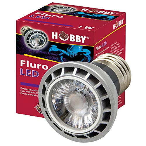 Hobby Terraristik Fluro LED 1 W I Lässt etliche Skorpione sowie einige Insekten, Spinnen und Chamäleons aufleuchten I Standard E27 Fassung I Kein Vorschaltgerät erforderlich