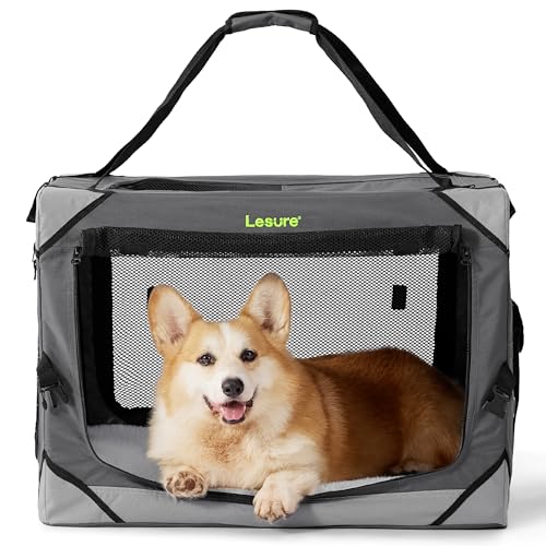 Lesure Hundebox Auto Transportbox Hund Hundebox Faltbar, Transportbox mit Tragegriffen 61 x 40 x 40 cm, Hundetransportbox Auto Klein & Groß Hundebox Faltbar, Transportbox Katze, Oxford-Gewebe, Grau