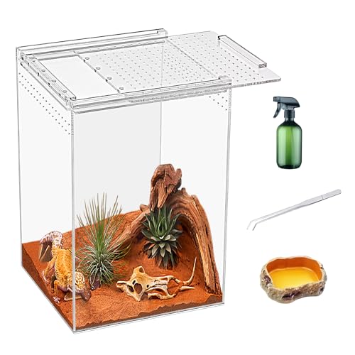 KAKOOTI Reptile Terrarium,20 * 20 * 30cm Reptilienzuchtbox, magnetisches Acrylgehäuse, für Schlange, Tarantula, Einsiedlerkrabbe, springende Spinne, Iguane, Leopard Gecko, Bartdrache, Insekt, Mantis