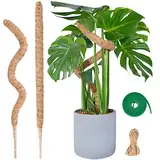 Moosstab Monstera für Pflanzen, SproutMaven 2 x 60cm Biegsame Monstera Rankhilfe mit Zubehör für Kletterpflanzen, Handgefertigte Kokosstab Monstera Moss Pole für Indoor Pflanzen