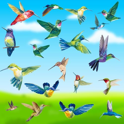 Zindoo Fensterbilder Vögel 38 Stücke Bunt Vögel Kolibri Antikollision Fensteraufkleber, Statisch Haftende, Doppelseitig und Selbstklebend Fensterbilder Frühling Fensterdeko Wiederverwendbare