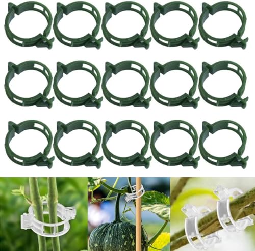 Rankklammern, Gartenpflanzenklammern, 100 Stück Spalierklammern for Tomaten, Weinreben, Gemüse, Pflanzenbefestigungsklammern, kleine Kunststoffklammer, wiederverwendbare Gartenklammern for Kletterpfla