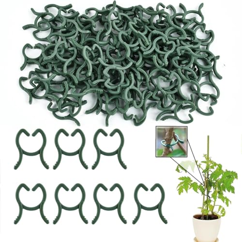 Isheurg Pflanzenclips,100 Stück Pflanzenklammern Klein,Wiederverwendbar Tomatenpflanzen Clips für Gemüse Und Obst, Ideal Für Gartenarbeit Und Professionelle Pflanzenpflege