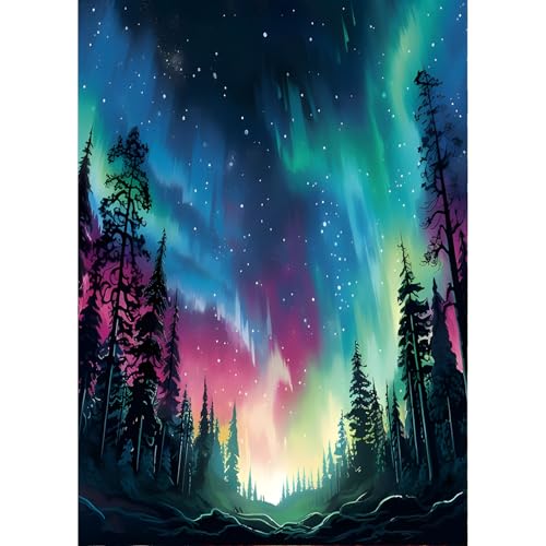 QINRUBB DIY Nachthimmel Diamond Painting Erwachsene, 5D Nordlichter Diamant Painting Bilder Anfänger, Runder Wald Vollbohrer Diamanten Malerei Stickerei Kreuzstich Geschenke Home Wand Dekor 30x40cm