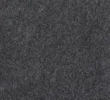 Teppichboden 200 cm Breite Bodenbelag Nadelvlies Meterware Anthrazit (Antrhazit, 100 x 200 cm)