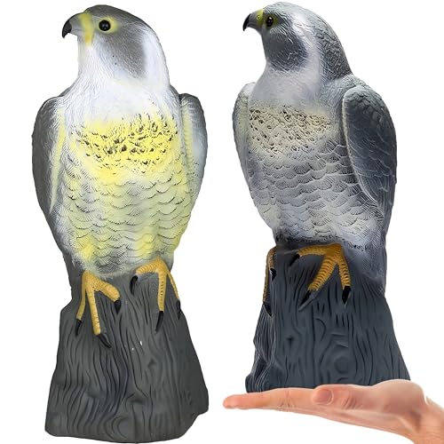 Retoo Vogelabwehrmittel, Falken, Falkengarten, Gefälschte Vogel, Gartenschutz, Schädlingsabwehr, Greifvogel, Raubvogel Attrappe, Natürliche Schädlingsbekämpfung, Kunststoff, 40 x 17,5 cm, Grau