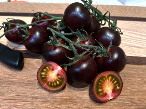 Tomate Blackball - Tiefdunkle Delikatesse mit intensivem Geschmack - 20 Samen