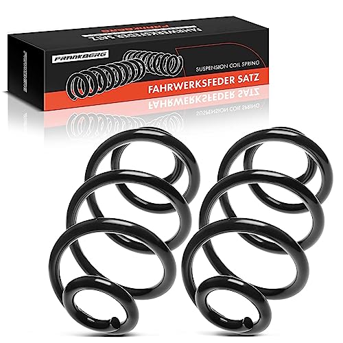 Frankberg 2x Federn Fahrwerksfeder Hinterachse Kompatibel mit Clio III 2005-2014 Clio III Grandtour 2007-2012 Modus/Grand Modus 2004-Heute Replace# 8200341248