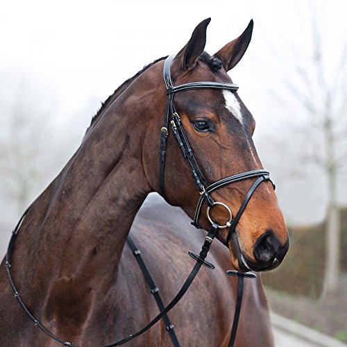 HORZE Pferde Trense Constance, Trensenzaum mit Zügel für Warmblut, Vollblut und Pony, Schwarz, F