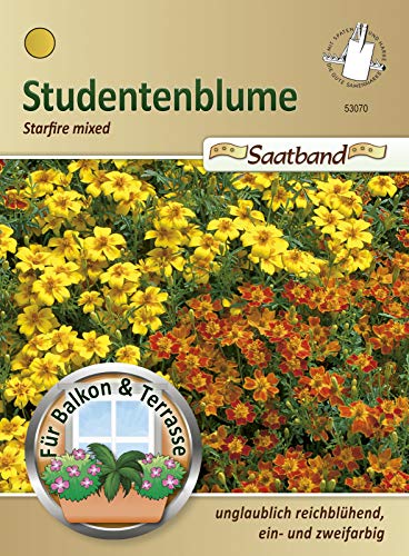 N.L. Chrestensen 53070 Studentenblume Starfire mixed Saatband (Studentenblumensamen)
