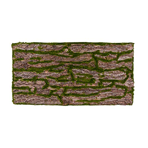 Terrarium Rückwand 3D Hintergrund Deko Naturlook Rinde 116x58cm für 120x60cm Terrarien