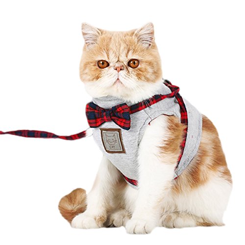 PETCUTE Katzengeschirr mit Leine katzenleine Weste Brustgeschirr Leine Verstellbare Atmungsaktives Katzengeschirr aus Weichem Air Mesh Gewebe