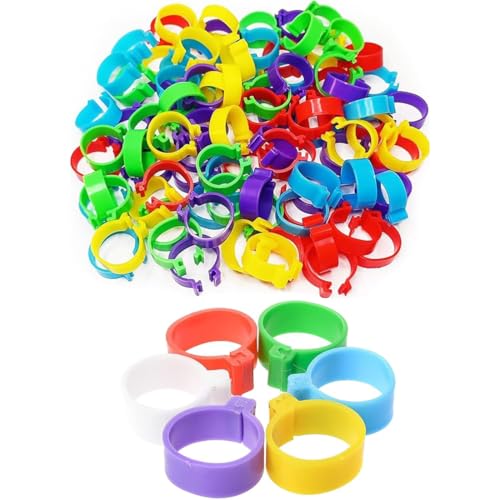 60 Stück Geflügel Band, hühnerringe，Plastikgeflügel Beinringe für Hühner, Enten, Hühner, Taube, Kleintiere, 6 Farben, leicht zu unterscheiden