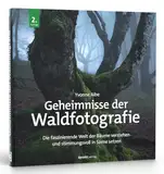 Geheimnisse der Waldfotografie: Die faszinierende Welt der Bäume verstehen und stimmungsvoll in Szene setzen