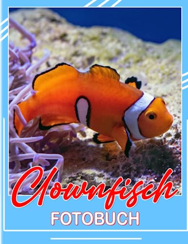Photobuch des Clownfisches Anemonefish: Fotokollektion Bilder von Orange Clownfischen für alle Altersgruppen zur Dekoration von Räumen, Häusern | Die ... Weihnachten | Weiße Elefanten Geschenke