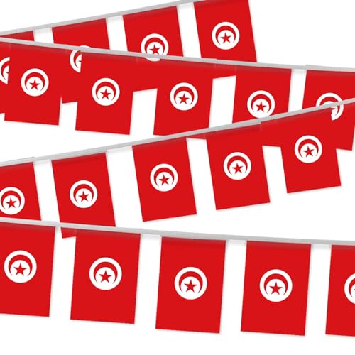 Tunesien-Wimpel, kleine Flagge, Wimpelkette, 30 Stück, Mini-Banner, Streifen, tunesische Dekoration, rechteckig, für Urlaub, Restaurant, Zuhause, Party, Schule