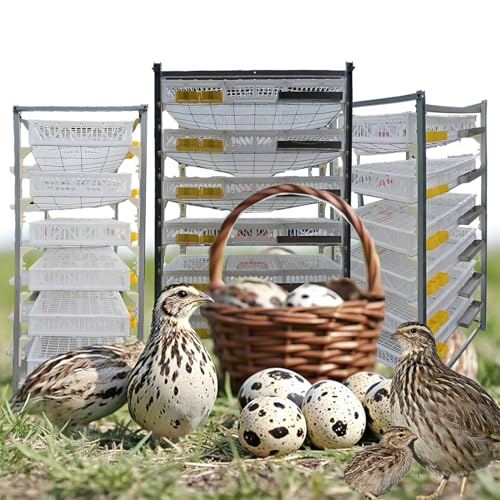 DWZL 6-Etagen-Wachtelstall Für 420 Vögel - Platzsparende Vertikalkonstruktion Mit Einfacher Eierentnahme Für Kommerzielle/Innenstallhaltung(Size:6-Tier)