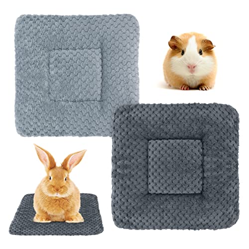Hileyu Kleintierplüschbett 2 Stück warme Flauschige Welpendecke Fleece Kaninchen Meerschweinchenkissen Bett Schlafmatte für Welpe Hund Kätzchen Hase Chinchilla, Eichhörnchen Hamster 30 * 30cm