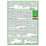 Lern Frosch© Niederländisch Vokabelposter I Über 1.500 Wörter für Anfänger, Wiedereinsteiger, Sprachschüler I Vokabeln lernen, Wortschatz erweitern, Sprachkenntnisse verbessern I (Niederländisch)