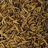 Soldatenfliegenlarven getrocknet wie Mehlwürmer Hermetia, für Vögel, Hühner, Igel, Reptilien, Fische (10 kg)