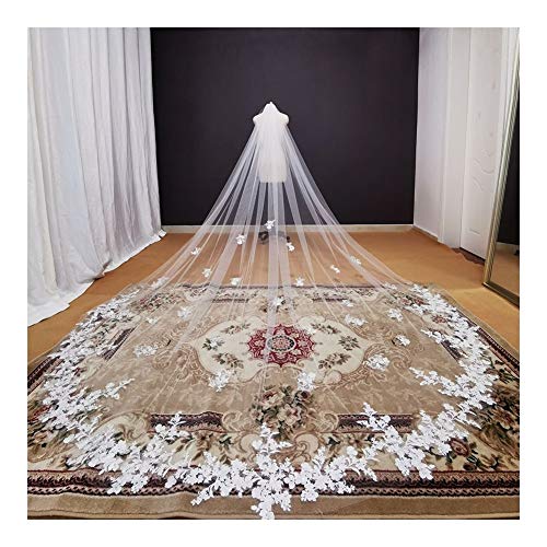 DZZTHSH Brautschleier, Kathedralschleier + Spitzenapplikationen, wunderschöne Hochzeitsaccessoires für die Braut, Langer Tüllschleier für die Hochzeit