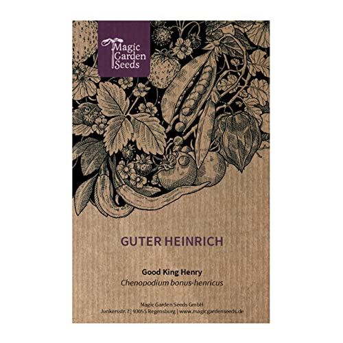 Guter Heinrich (Chenopodium bonus-henricus) 200 Samen Wilder Spinat