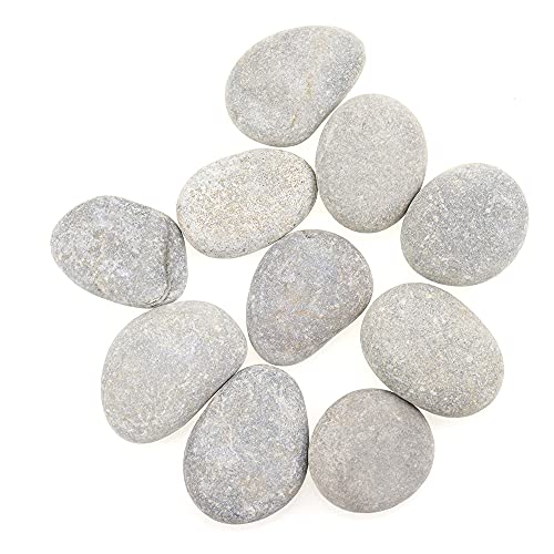 LongZYU Steine Zum Bemalen Dekorieren 10 Stück Natur Dekosteine 30-50 mm Glatt Handverlesen Strand Kiesel Steine DIY Rocks Beach Pebbles Malsteine Für Bunte Malerei Aquarien Haus Gartendekoration