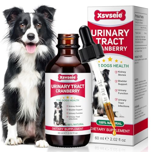 Harnröhrentherapie für Hunde, Hund Harnwegsinfektion Behandlungstropfen, unterstützt Blase Ergänzung, Prävention Inkontinenz & Blasensteine, halten Haustier Nieren Gesundheit & UTI Pflege