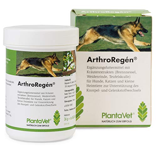 ArthroRegen 160 Tabletten bei Gelenkproblemen von SaluVet