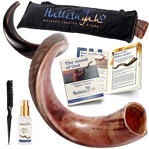 HalleluYAH Original koscherer halbpolierter Kudu Shofar | aus Israel