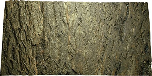 Lucky Reptile Korkrückwand "Grob" 375x365 mm, Rückwand für tropische Terrarien